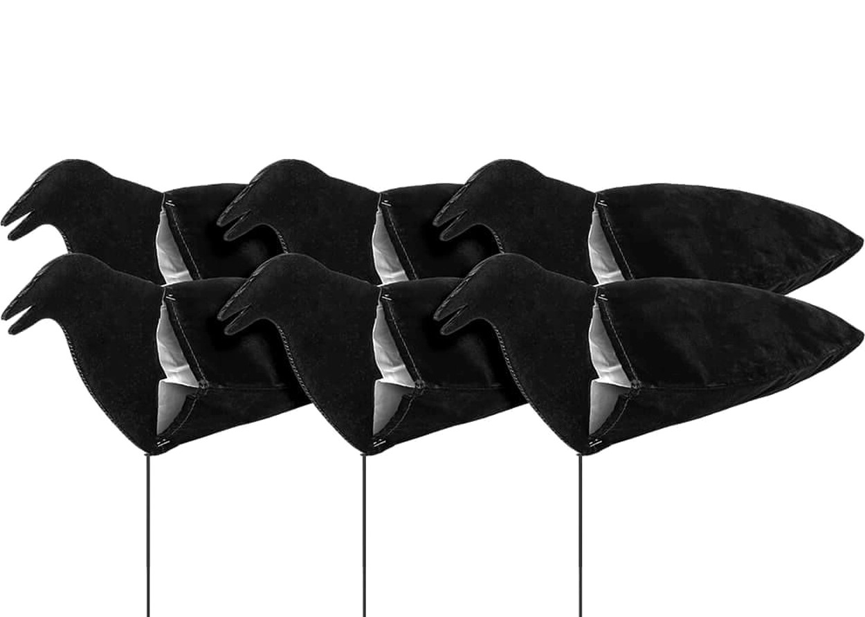 Sillosocks wachende Lockkrähe Windsocke 6er Pack