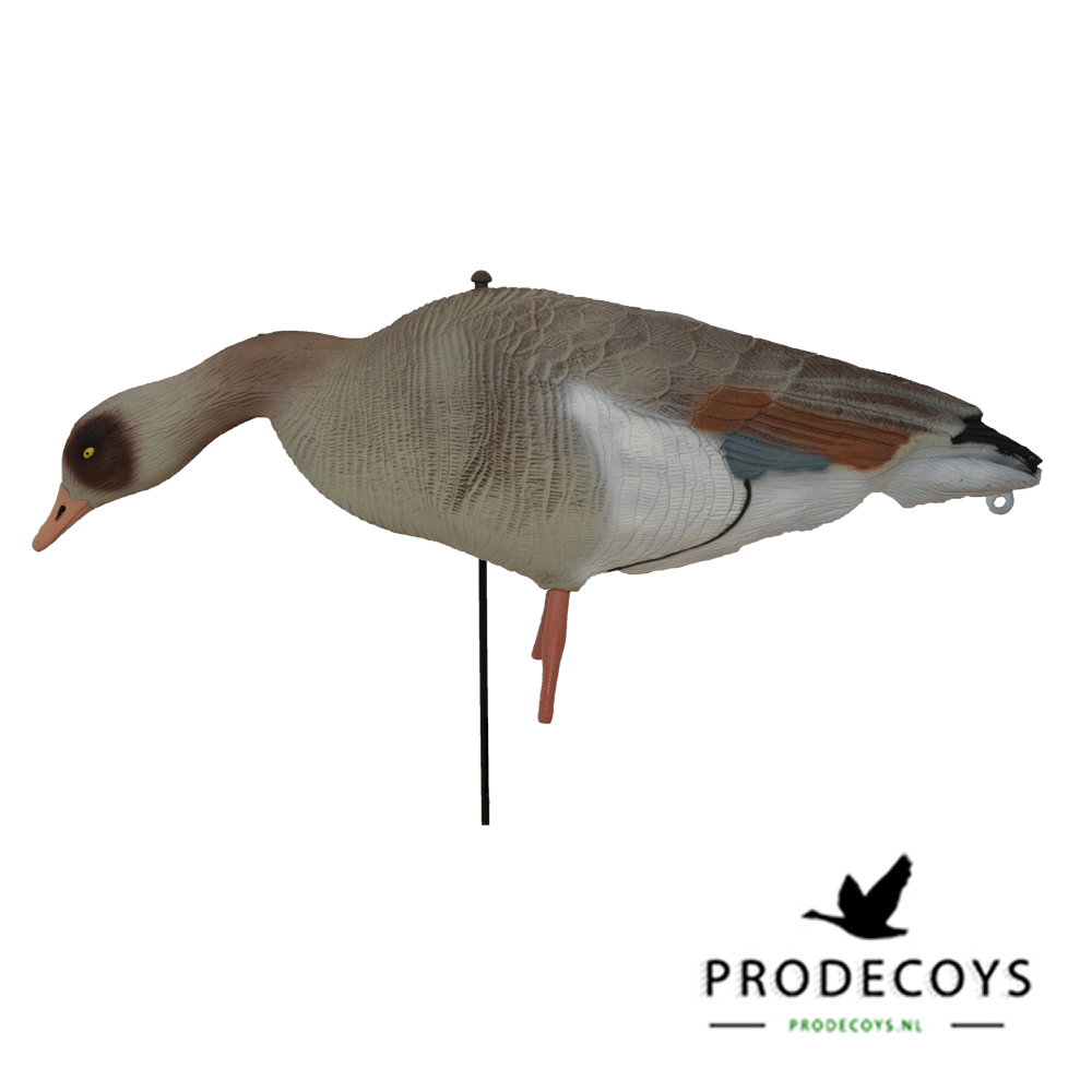 Prodecoys Nilgans Lockgänse Set Egyptian Goose