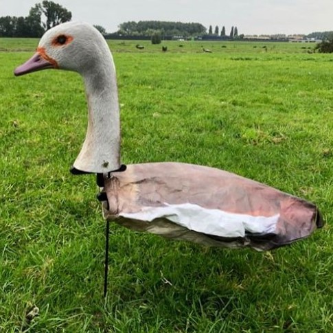 Nilgans Windsocken Lockvögel