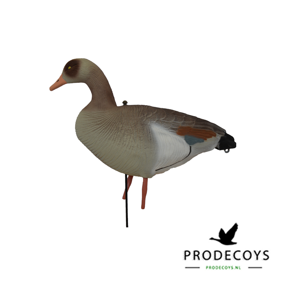 Prodecoys Nilgans Lockgänse Set Egyptian Goose