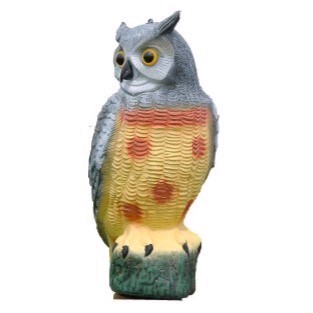 Lockvogel Uhu Attrappe