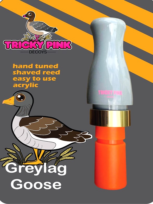 Tricky Pink Graugans Gänselocker Greylag Goose