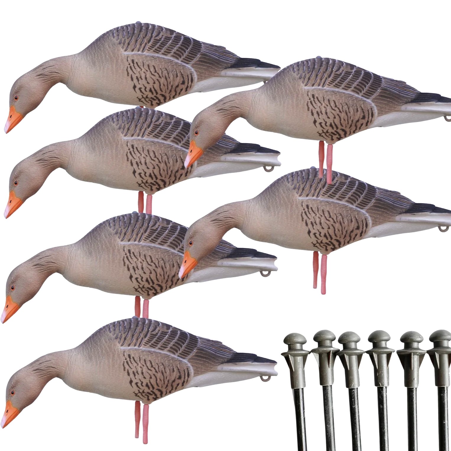 DKWAI Supreme Lightweight Lockgänse Feeder Set mit Tasche