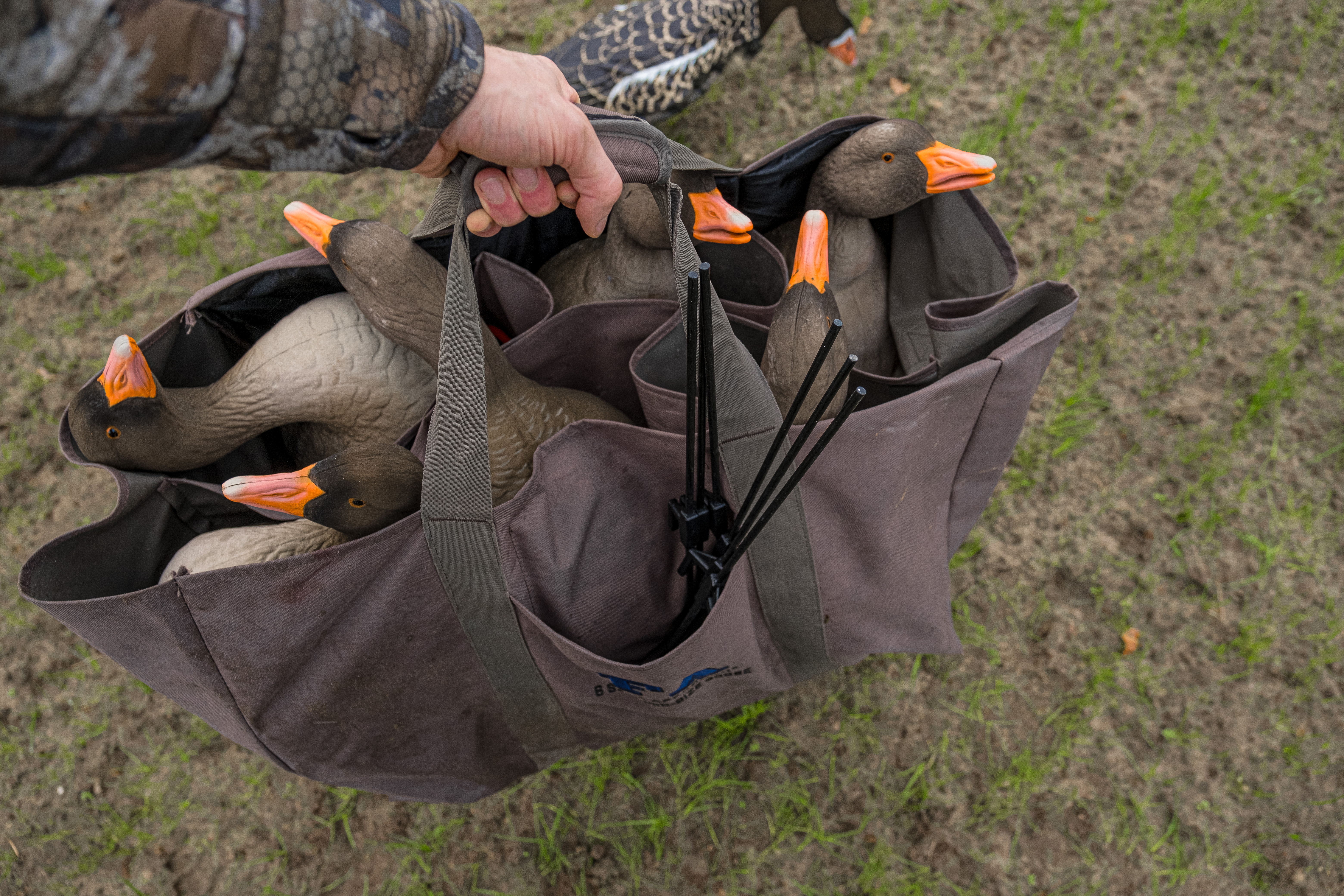 FA Graugans Lockgänse Set + Tasche